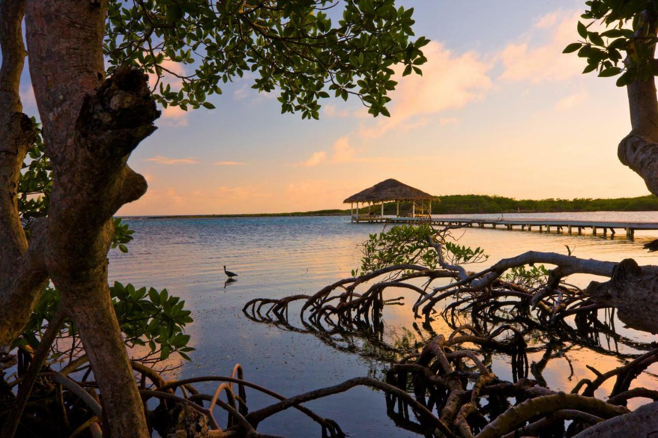 Barefoot Cay Resort Brick Bay Exterior foto